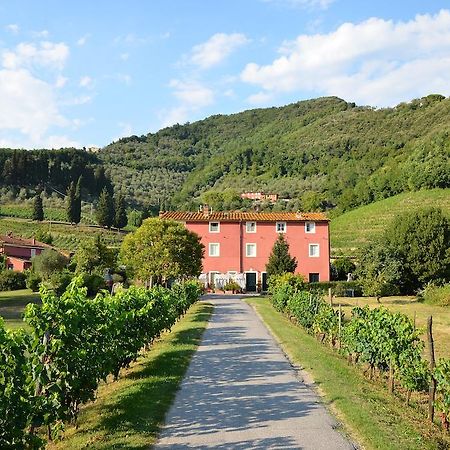 Agriturismo Le Murelle Lucca Exterior photo