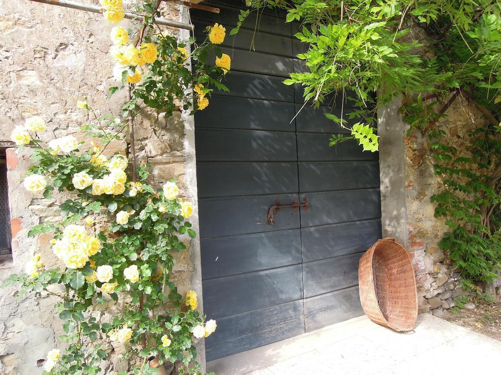 Agriturismo Le Murelle Lucca Exterior photo
