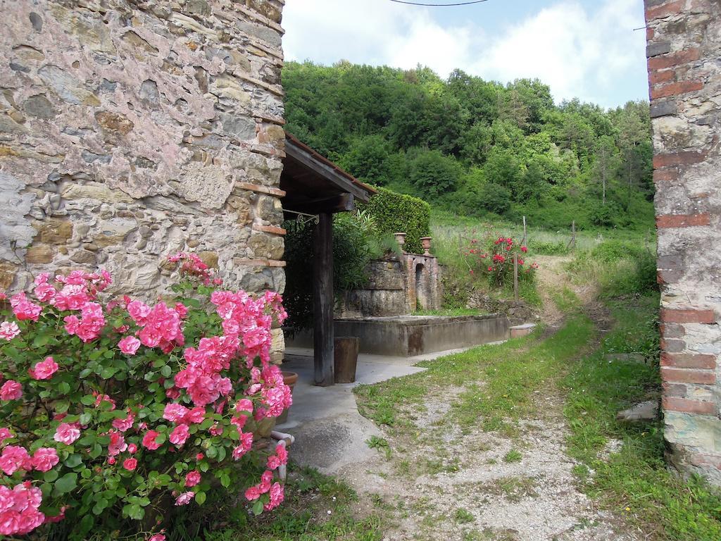 Agriturismo Le Murelle Lucca Exterior photo